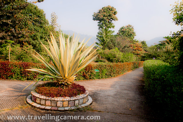 During recent trip to Jim Corbett National Park, we stayed at Tarangi Resort. It was a weekend trip and there are very small time window to explore this place well. Although we had a round of whole resort to see all available options around. Check out this PHOTO JOURNEY to know more about this wonderful holiday resort !!!A photograph showing one of the cottage at Tarangi Resort !!!Tarangi which means waves in Hindi Language is one of the wonderful places to stay in this region. There are various other resorts around the same place and not sure how well equipped they are. Tarangi Resort has huge area and very low density in terms of cottages they have.It's located between the Jim Corbett National Park on one side and the River Kosi on the other... Kosi river is very close to their restaurant, although it was not planned. I will share more details about it soon... Most of the regions at this resort are green and rich in terms of flora n fauna. It's spread over  13 acres on the bank of Kosi river.... Tarangi is probably largest Corbett Resort and I found it an ideal place to stay in for a relaxed, rejuvenating holiday... At least, it was best fit for our group of approximately 30 folks...Some of the cottages at the Tarangi Resort in Corbett  are facing Kosi river and give wonderful view of river & a dense forest behind it. Overall resort is maintained in such a way that it tries to give some sense of living in wild :) ... I would not say, it's completely like that but try is of-course there...Papaya trees within the resort... Not only papaya, there were lot of other fruits around the place and some fields dedicated for growing vegetables... Tarangi is located on the banks of River Kosi which is one of the two main rivers in Corbett. This Resort is approximately 250 kms from New Delhi and part of roadside village in Corbett called, Dhikuli.  Tarangi is approximately 8 kms from Ramnagar Railway Station and 4 kms from Bijrani Jungle Gate. Since this resort is spread on a huge land of 13 acres, there is a separate area with two huge grounds and nice paths around it. Whole is full of greenery and colorful flowers/plants...It seemed that grounds on other end are not in much use, as there is one well maintained ground near cottages. Most of the folks in our group were also using the same for cricket.I simply loved these colors around our Cottages !!!A view of entry to Tarangi Resort. The path on right is leading towards Kosi river by drawing a boundary line of Tarangi Resort. The other one is hitting resort reception and all the cottagesA nice plant with leaves having green color on top and red shade in bottom part.Since it's a huge area, so automating manual efforts is important :)There is no swimming pool in this resort. Although there was one which was washes away by Kosi River. Sounds of lovely birds around this place were amazing. Although we left early in morning for Safari, but during day time some birds can be seen... And I think spa is also swept by Kosi year during monsoons last year..During a quick walk of 20 mins at Tarangi, we caught various birds in our travelling-camera. Although some of them were really shy and scary, but we managed to click some of them :Some high quality bamboo was there at Tarangi and some colorful birds on top of it were making the whole thing more beautiful..Here is the cricket ground, I was talking about.. Some of the folks in our group spent most of the time on this ground...Anurag and Vaibhav walking around the cricket ground at Tarangi Resort, Jim Corbett National Park !!Overall, it was decent stay at Tarangi ... Previously I have stayed in Ram Ganga Resort, which is also a decent option around Jim Corbett National Park !!! 