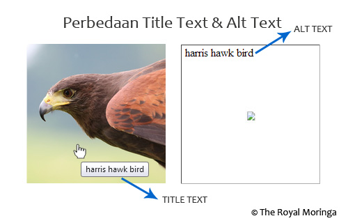 Title & Alt Text - Fungsi, Manfaat bagi SEO, dan Cara Menambahkannya