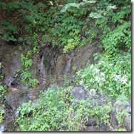 P6212477