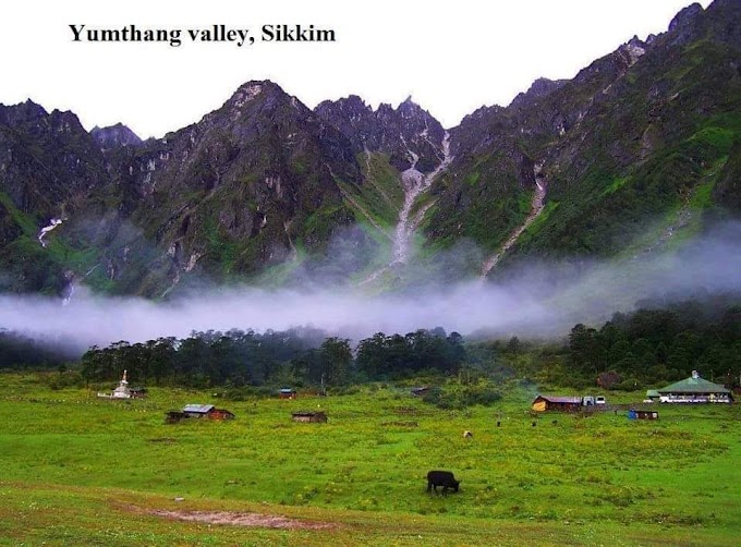 Yumthang valley Sikkim