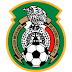 Selección de fútbol de México - Equipo, Jugadores