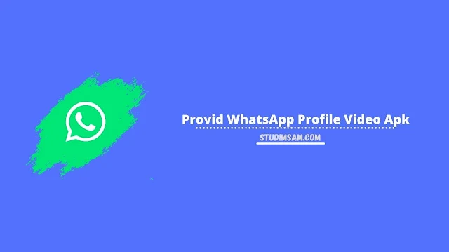 provid whatsapp profile video apk