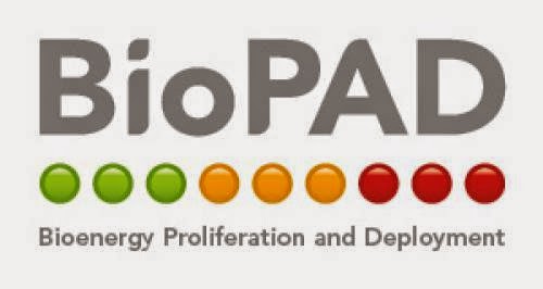 Promoting Bioenergy In The Northern Periphery Bioenergy Proliferation And Deployment