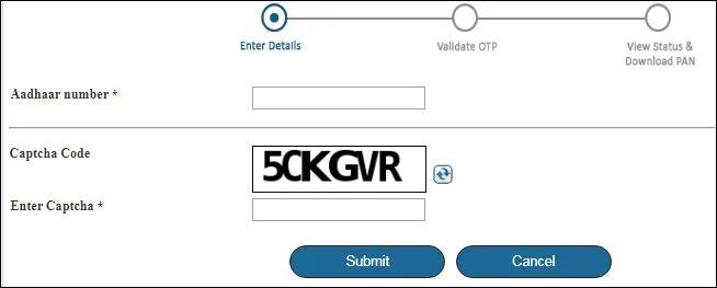 Check Status/Download PAN