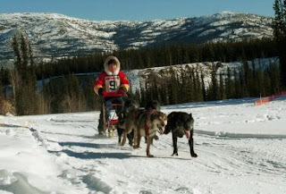 gara di Dog Mushing