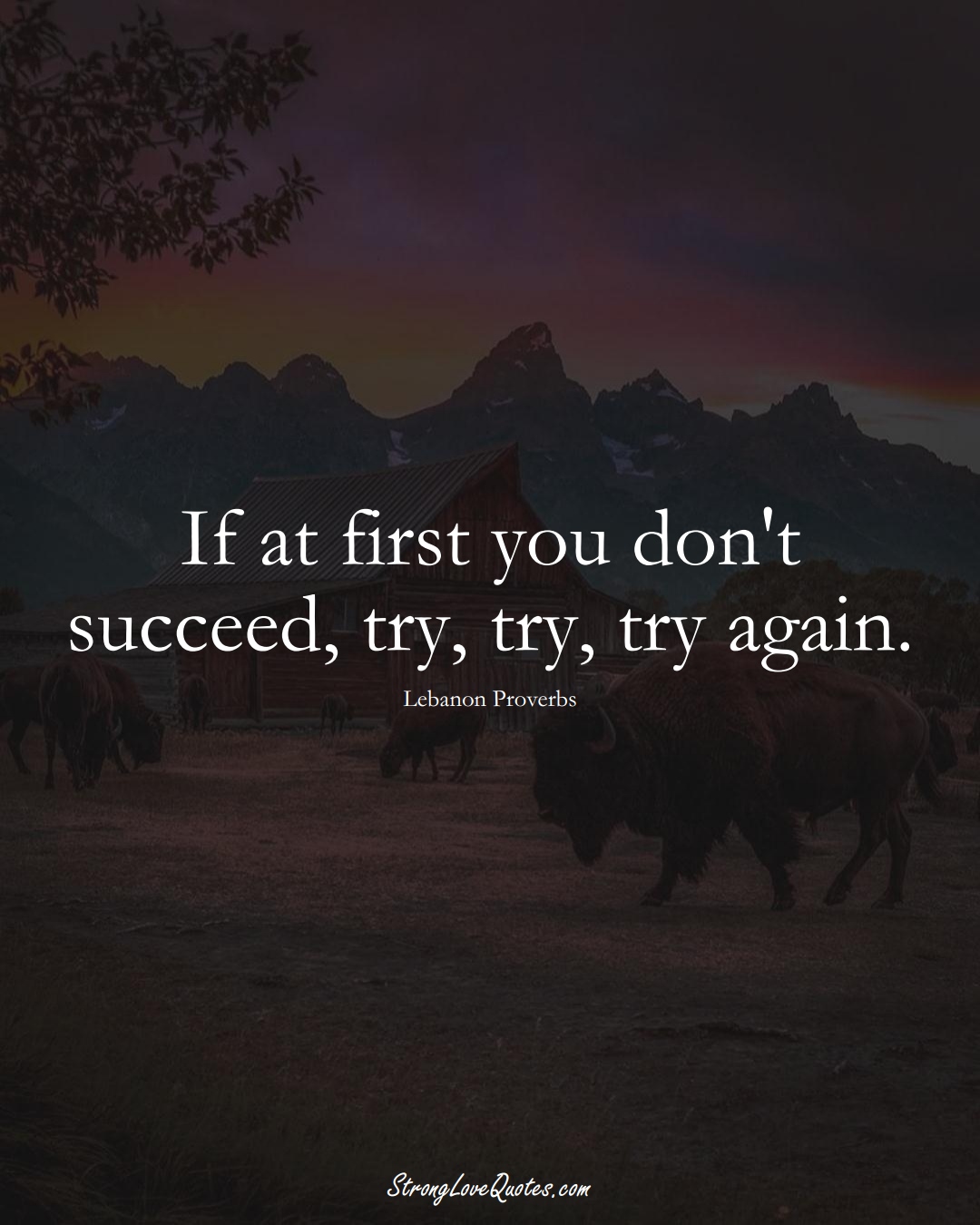 If at first you don't succeed, try, try, try again. (Lebanon Sayings);  #MiddleEasternSayings