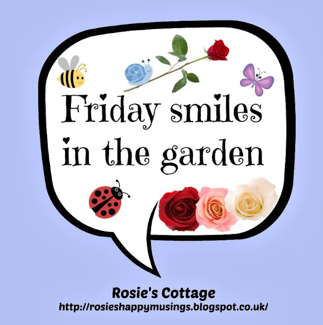 Friday Smiles In The Garden 