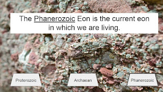 The Phanerozoic Eon is the current eon  in which we are living.