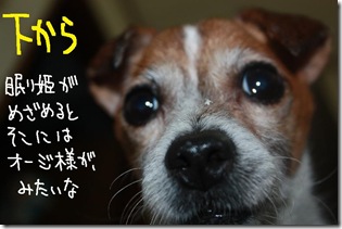 今日カズ１００４０６　４