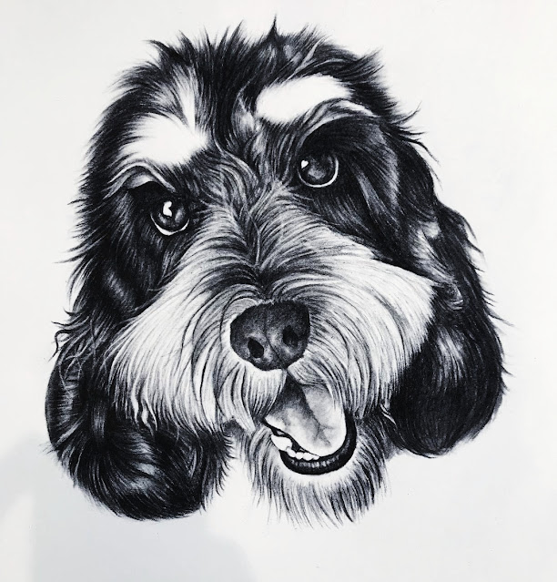 Cute Dogs Drawings Easy