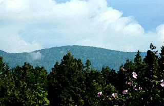 http://www.thedailyherb.com/telling-on-themselves-rural-cleansing-in-north-idaho-and-montana/