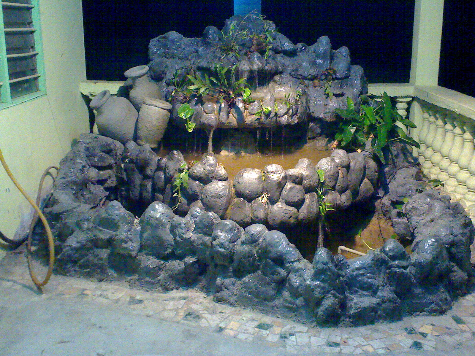 putera katak kolam  ikan 