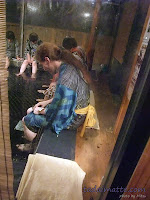 Doctor Fish at Oedo Onsen Monogatari, Odaiba, Tokyo