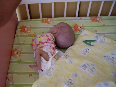 Children Adoption Pictures on The Photos I Have Uploaded With Today S Blog Will Give You A Flavour