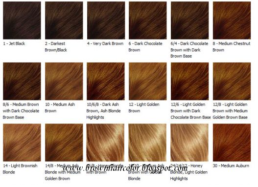 Brown Hair Colour Chart