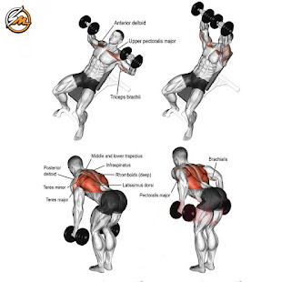 Arnold's Chest and Back Superset Workout