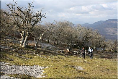 Llegamos a la Punta Sur de Arburu