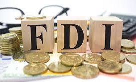Government looks to easy more FDI rules to attract investments
