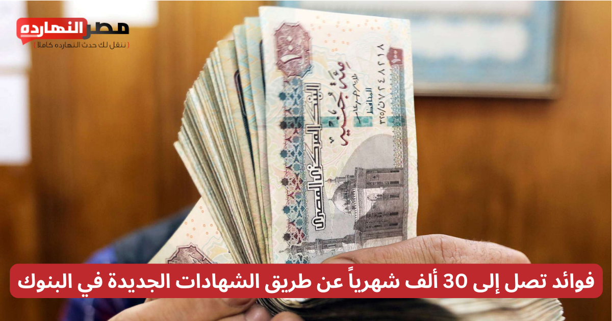 Top Investment Certificates in Egypt with High Returns: Earn up to 30,000 Riyals Monthly