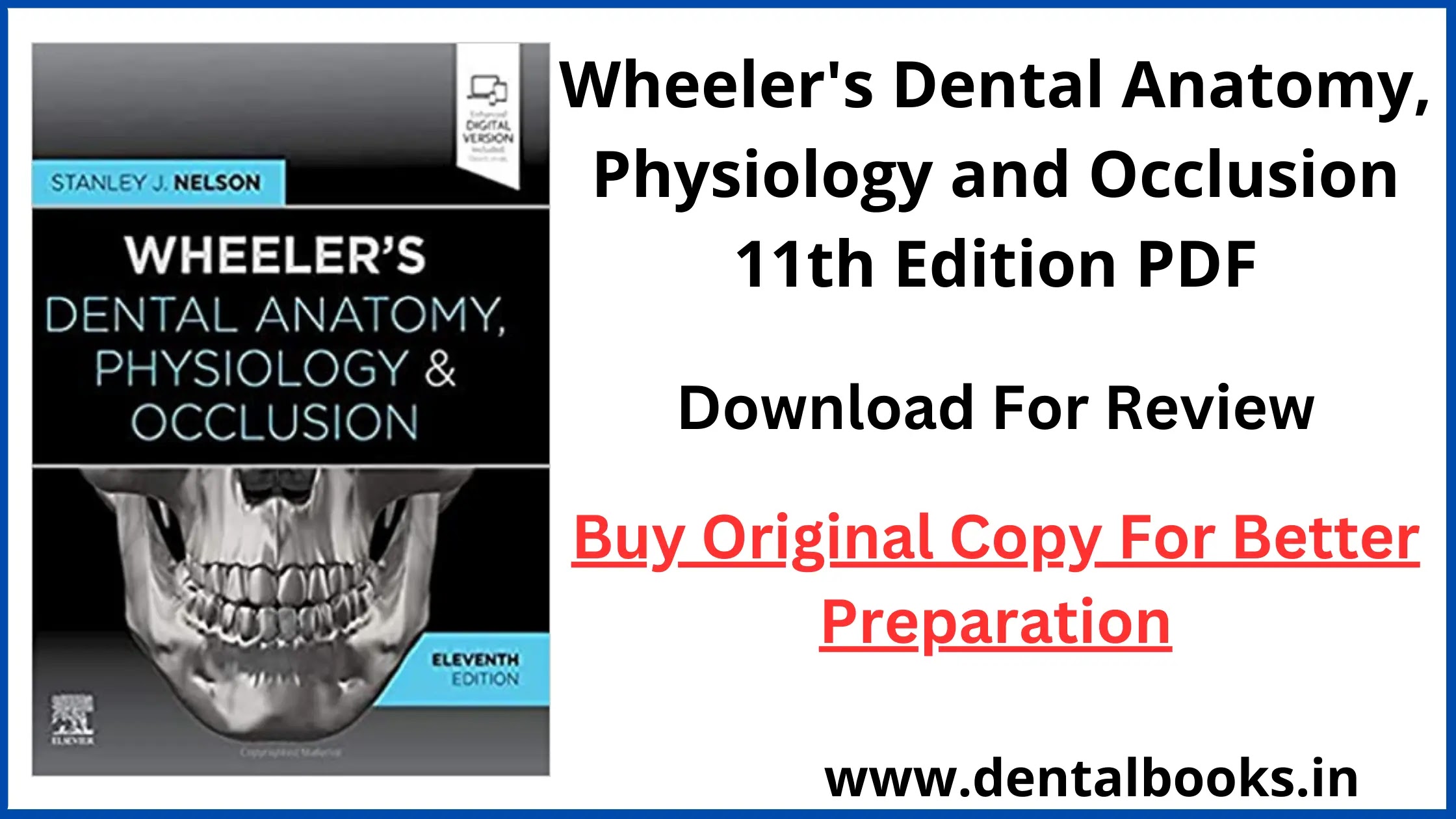 Wheeler's Dental Anatomy, Physiology and Occlusion 11th Edition PDF
