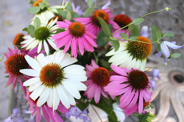 The Impatient Gardener -- The Garden Appreciation Society