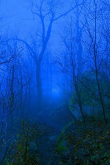 Beautiful_Scenery-06
