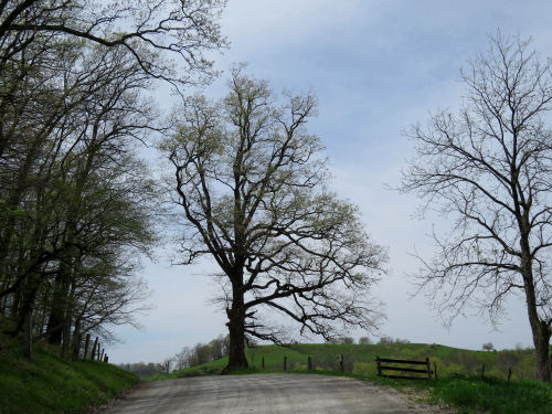 country road