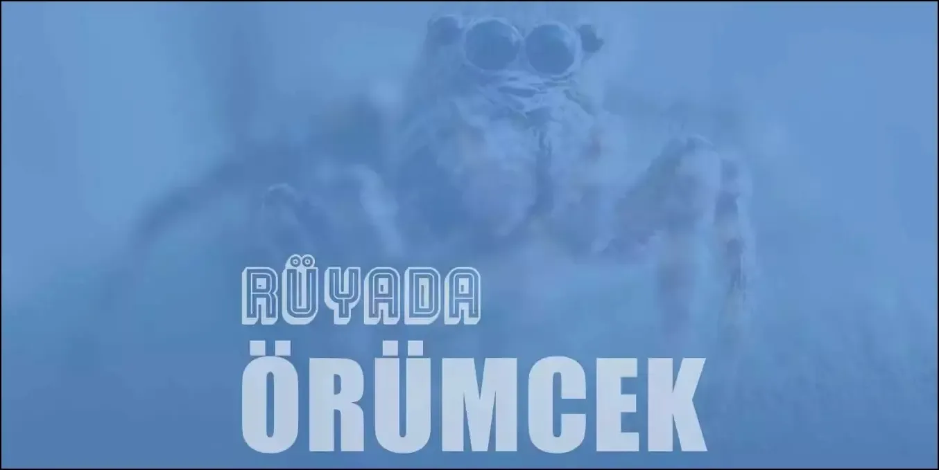 Rüyada Örümcek Görmek Ne Anlama Gelir?