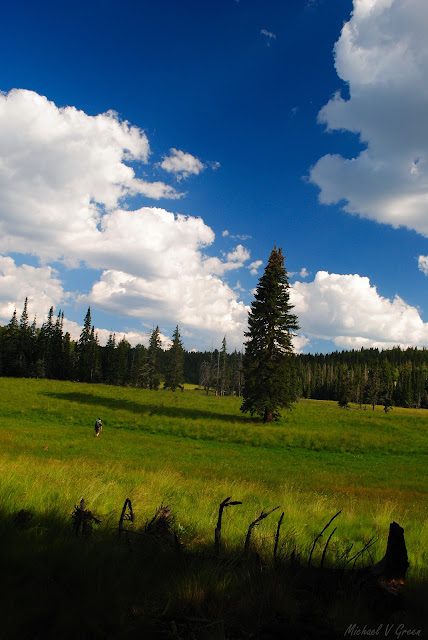 Mount Baldy Wilderness