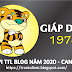 TỬ VI TUỔI GIÁP DầN 1974 NĂM 2020 ( Canh Tý )