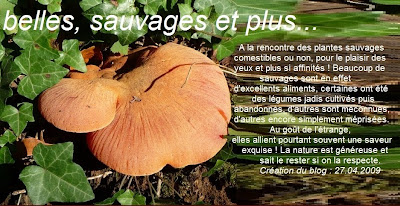 belles, sauvages et plus