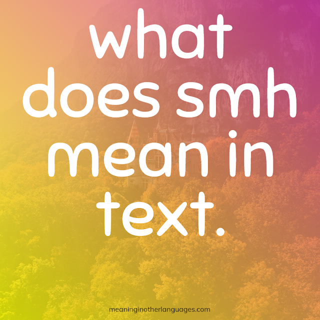 What does SMH mean in text