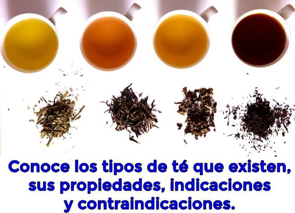 Tipos de té y propiedades nutricionales que mejoran la salud