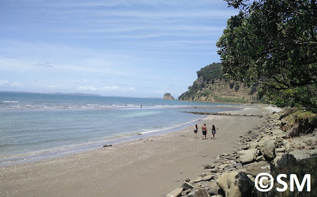 Photo plage de Wenderholm Regional Park Auckland Nouvelle-Zélande