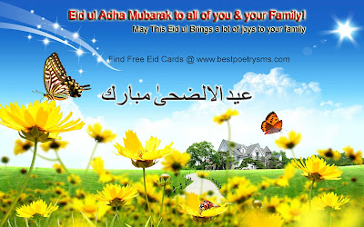 beautiful eid greeting card 2012