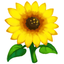 crop general sunflower generic icon ccf3944bfe2a41b593f2de60ecbea538 Making a Splash Quest Preview!