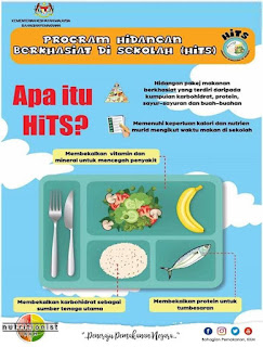 Cara Membuat Makanan Untuk Bekal Sekolah Anak