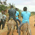 MASHABIKI WA FOUNTAIN GATE ROYAL FANS BABATI WAWAFUATA SINGIDA BLACK STARS KWA PUNDA.