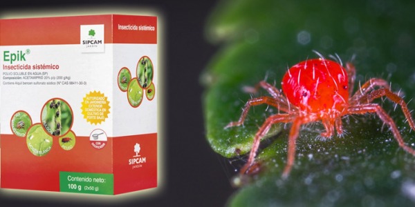 insecticida epik contra escarabajo patata