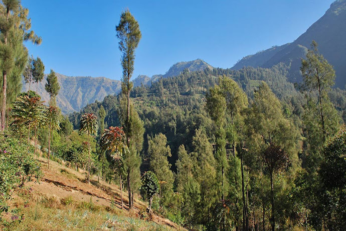 Paisaje de montaña