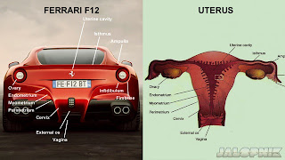 ferrari f12 berlinetta