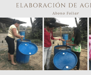 ¿Cómo Elaborar el Abono Foliar Agroplus casero?