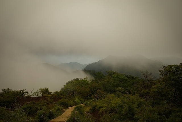 塔ノ岳