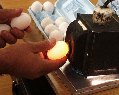 Cách chọn trứng vịt lộn ngon
