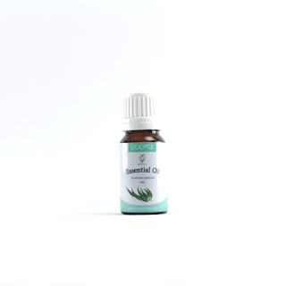 Eucalyptus Essential Oil Philippines 10mL