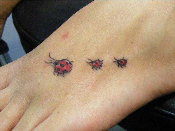 Ladybug Tattoos ~ info