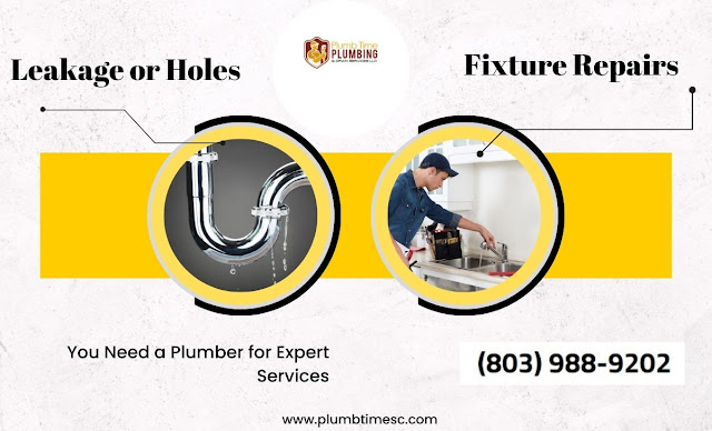 You Need a Plumber for Expert Services