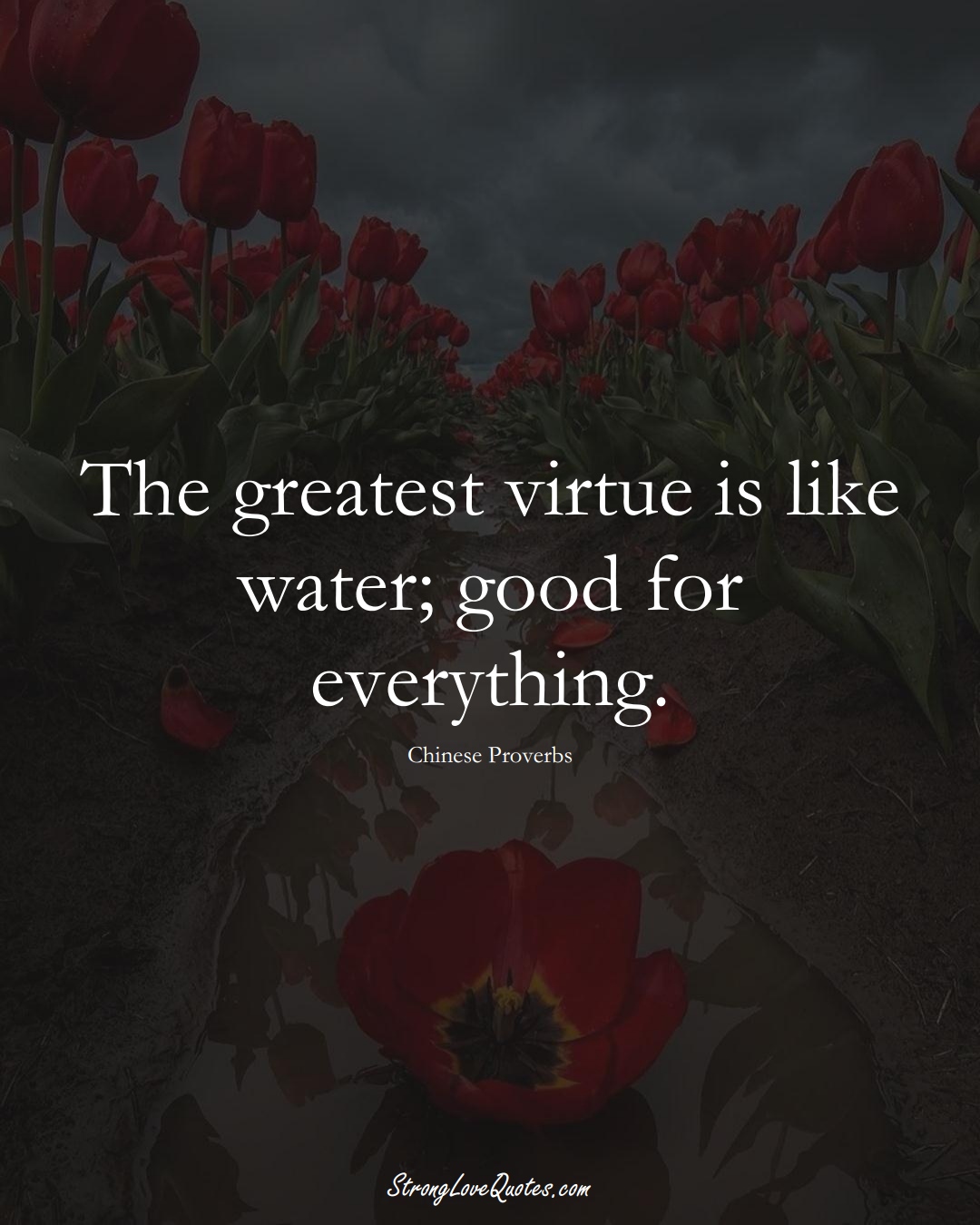 The greatest virtue is like water; good for everything. (Chinese Sayings);  #AsianSayings