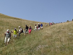 DSC00517