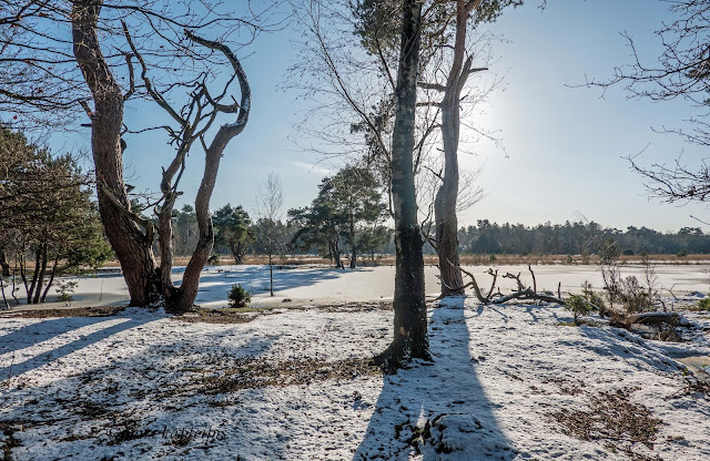 Vresselse bos Nijnsel 16 januari 2024